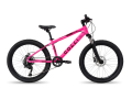 BICICLETA COLLI NAPOLI PRO - 24 ROSA